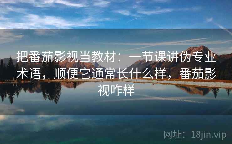 把番茄影视当教材：一节课讲伪专业术语，顺便它通常长什么样，番茄影视咋样