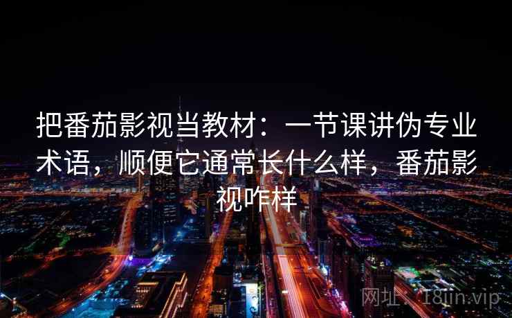 把番茄影视当教材：一节课讲伪专业术语，顺便它通常长什么样，番茄影视咋样