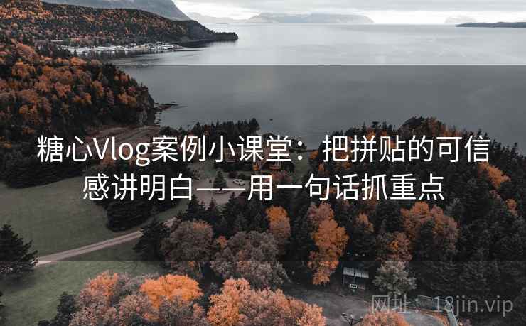 糖心Vlog案例小课堂：把拼贴的可信感讲明白——用一句话抓重点