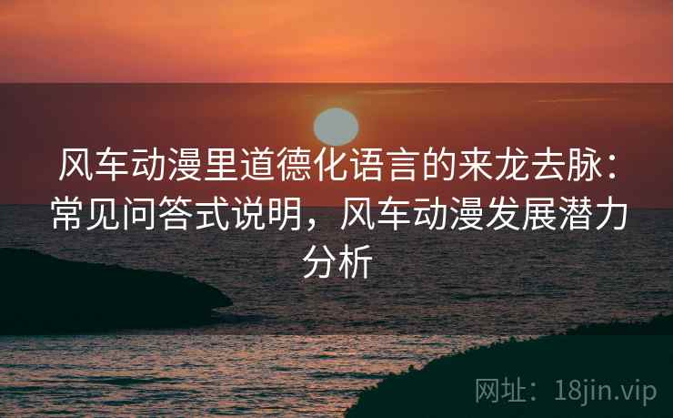 风车动漫里道德化语言的来龙去脉：常见问答式说明，风车动漫发展潜力分析